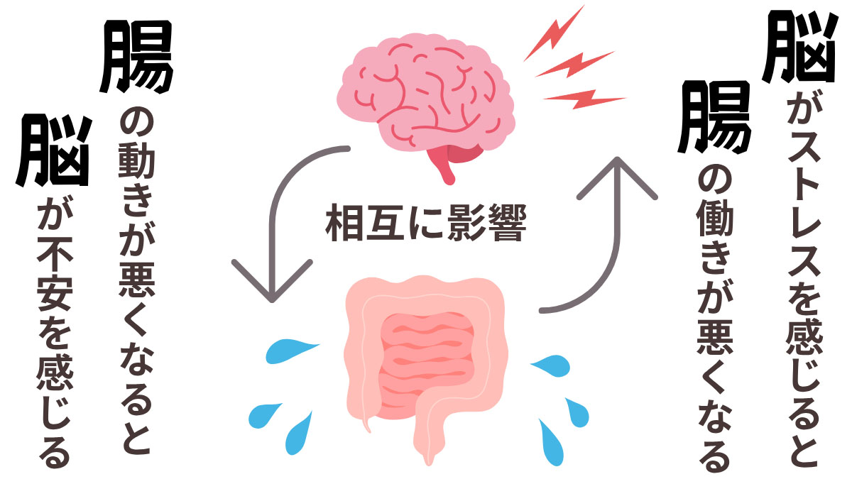 脳がストレスを感じると腸の動きが悪化。腸の動きが悪化すると脳が不安を感じることを示した図。