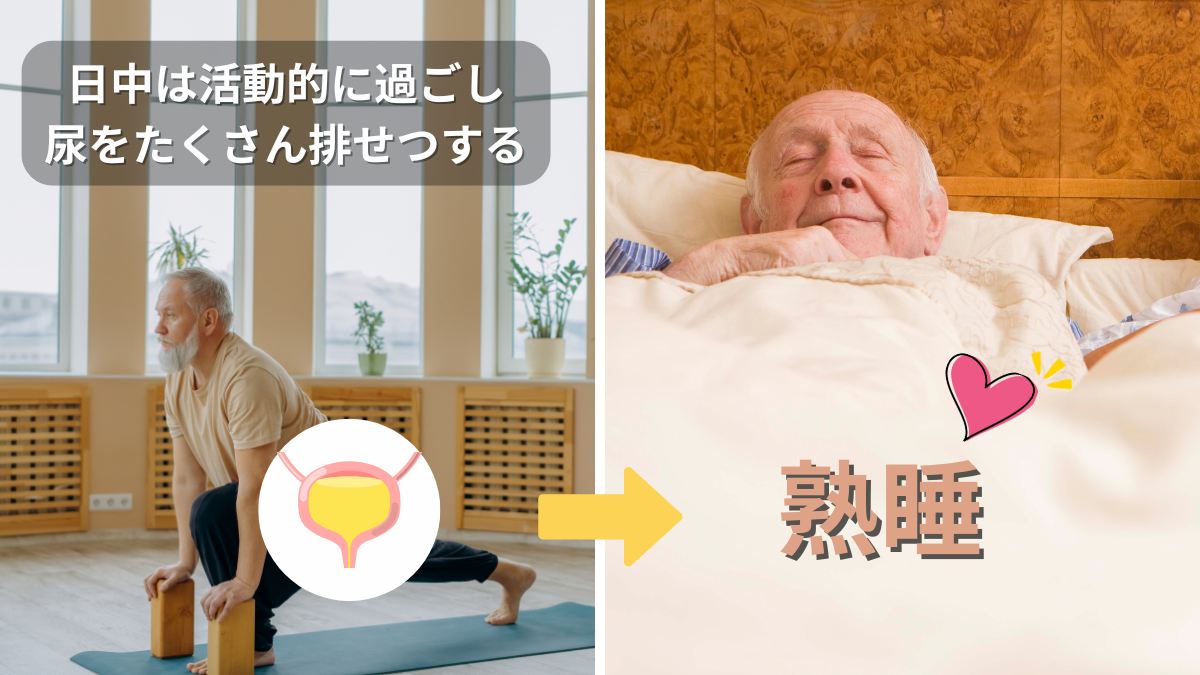 日中に活動して尿を排せつすると熟睡できる図