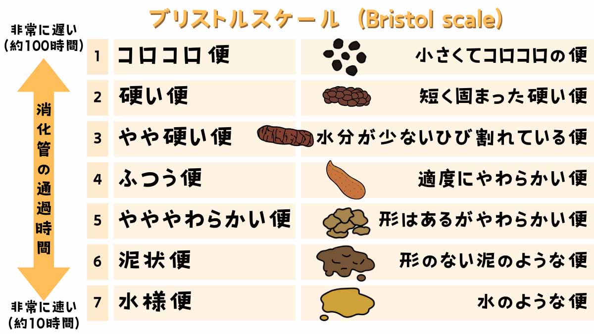 ブリストルスケールの説明。
1.コロコロ便
2.硬い便
3.やや硬い便
4.ふつう便
5.やややわらかい便
6.泥状便
7.水様便