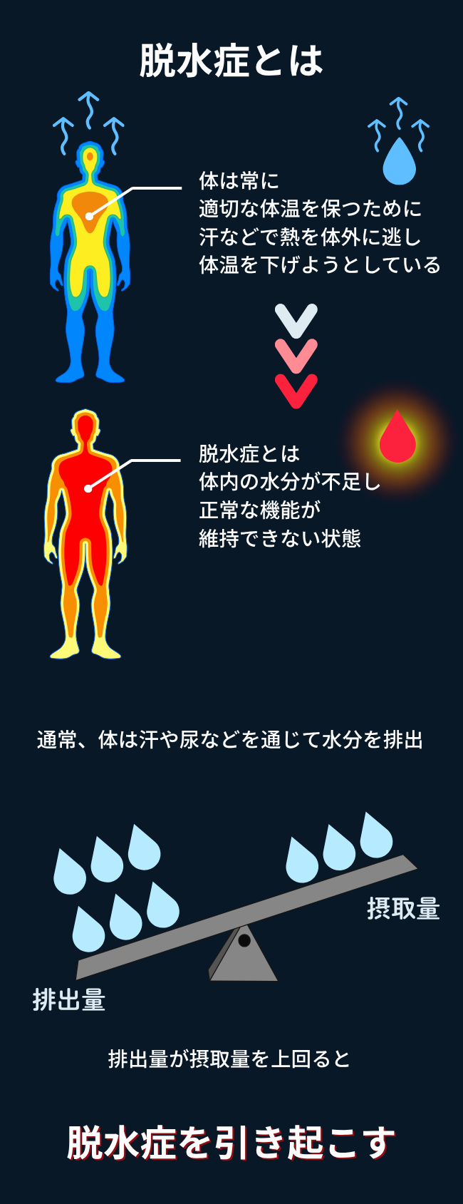 「体内水分の摂取量と排出量のバランスが崩れる」図。
