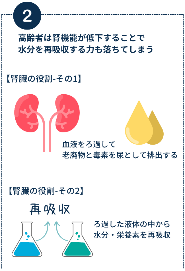 「腎機能の低下で水分の再吸収量低下」の図。