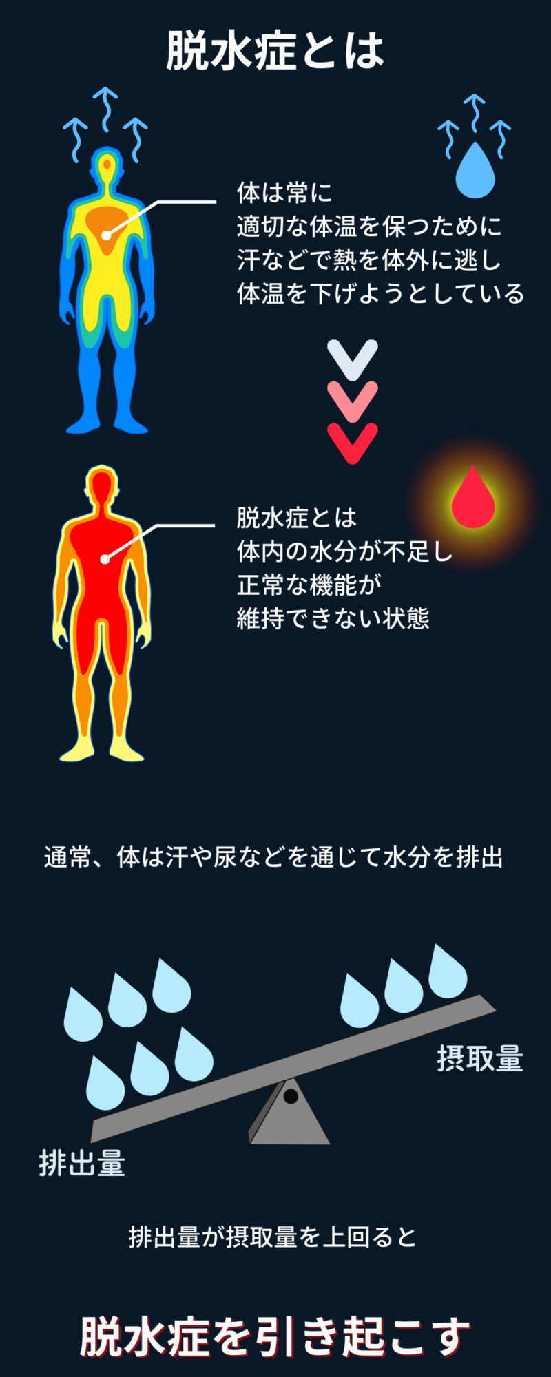 「脱水症とは」体内の水分不足により正常な機能が維持できない状態を「脱水症」と言います。適切な体温調節を行うために汗として熱を放出しますが、摂取する水分量が排出量を下回ると脱水症が発生します。このページでは、脱水症の原因とメカニズムをわかりやすく解説します。