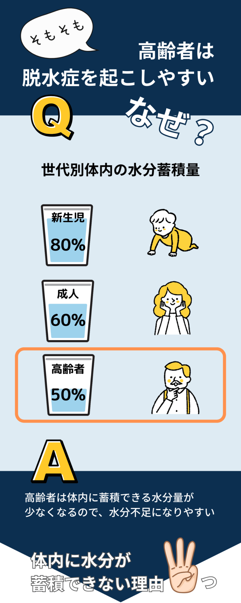 「高齢者が脱水症を起こしやすい理由」 画像には世代別の体内水分量が示されています。新生児は80%、成人は60%、高齢者は50%の水分量を体内に保持しています。このデータを基に、高齢者は体内水分量が少ないため脱水症を起こしやすいことが説明されています。