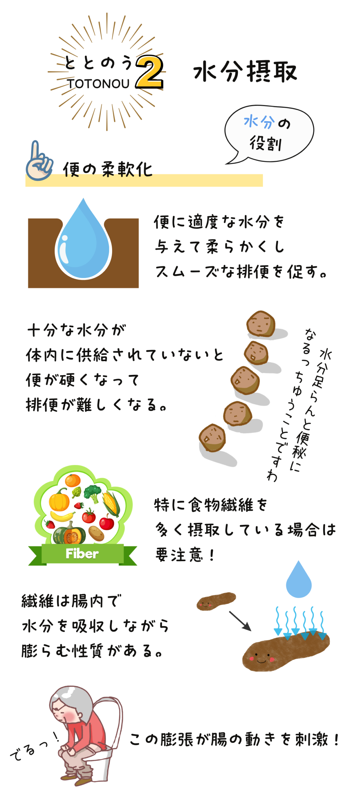 水分が便を柔らかくしスムーズな排便を促すこと、水分不足で便が硬くなること、食物繊維摂取時は特に水分補給が重要であることを示した図解