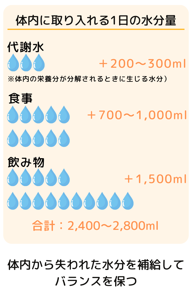 体内から失われた分、取り入れるべき水分量の図解