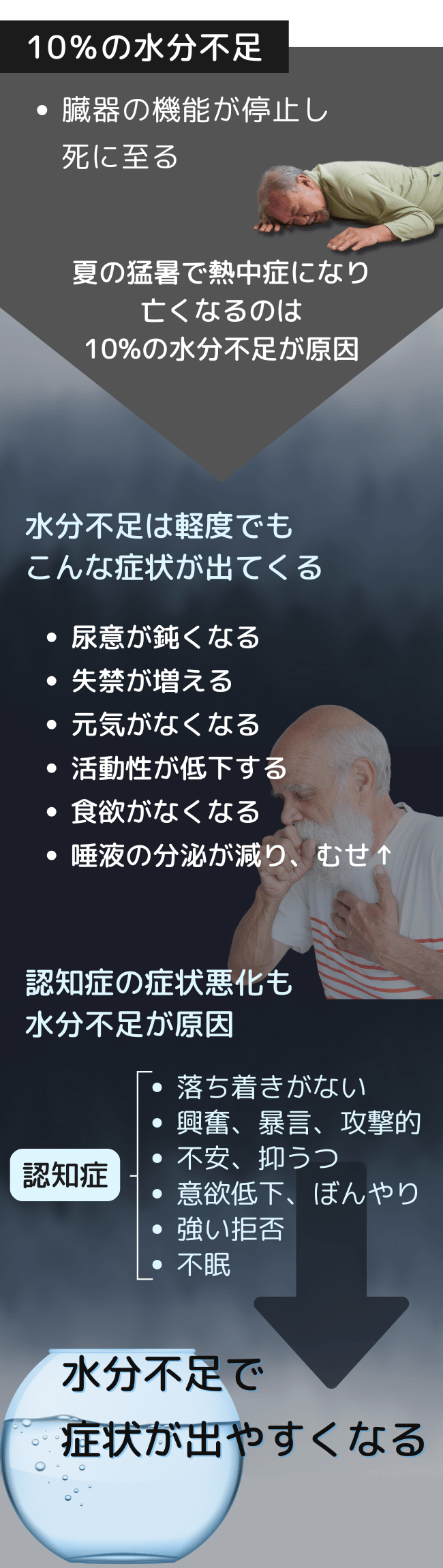 水分不足の影響について解説するポスターです。10%の水分不足が臓器機能停止や死に至る可能性があることを強調しています。また、夏の猛暑で熱中症となり亡くなる原因も10%の水分不足であることが示されています。軽度の水分不足でも、尿意の鈍化、元気の低下、食欲減退、唾液分泌の減少などの症状が出現することが記載されています。さらに、高齢者における認知症症状の悪化も水分不足が関与しており、落ち着きのなさ、不安感、意欲低下、不眠などが具体例として挙げられています。