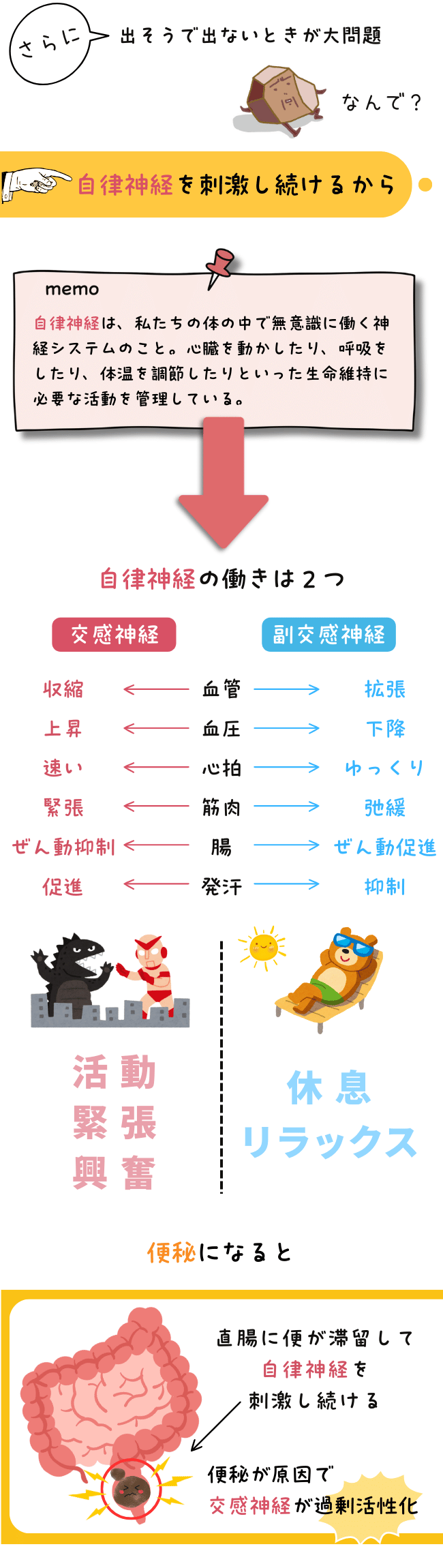 画像では、便秘が自律神経に与える影響について説明されています。便秘により直腸に便が滞留し、自律神経が刺激され続けることで交感神経が過剰に活性化し、不快な症状につながる可能性があることが示唆されています。