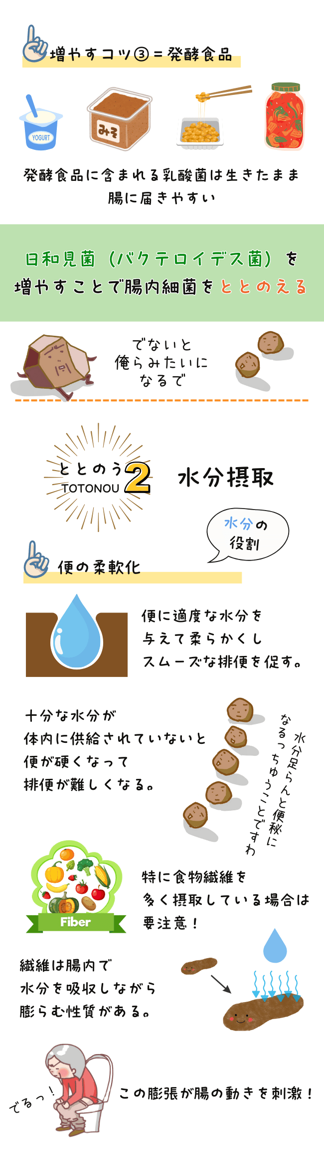 画像には、発酵食品や水分摂取が腸内環境改善に役立つと説明されています。乳酸菌を含む発酵食品は腸に届きやすく、また十分な水分摂取が便の柔軟性を向上させることでスムーズな排便を促します。特に食物繊維を多く摂る際、水分不足に注意が必要です。